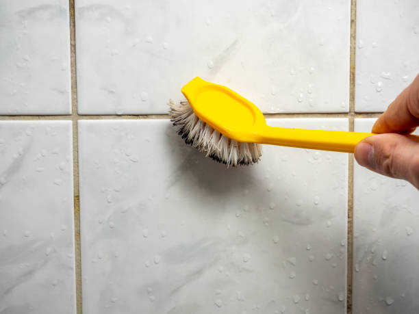 Best Fast Mold Removal  in Grizzly Flats, CA