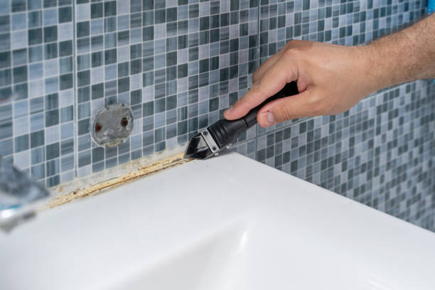 Best Emergency Mold Removal  in Grizzly Flats, CA