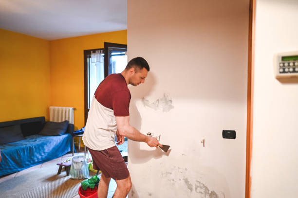 Best Office Mold Removal Services  in Grizzly Flats, CA